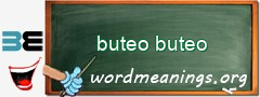 WordMeaning blackboard for buteo buteo